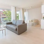 Apartman Daro *