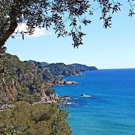 Daro Platja d'Aro