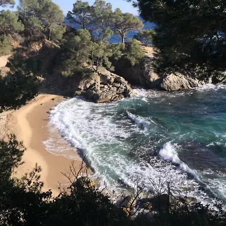 Daro * Platja d'Aro